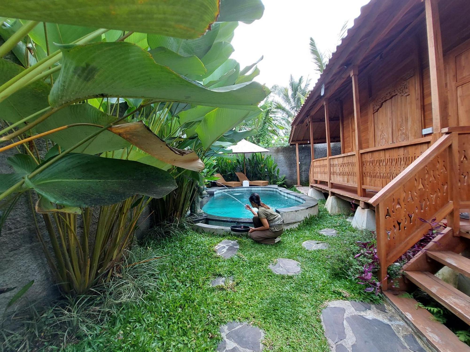 D'Ethnic Ubud Villa Dış mekan fotoğraf