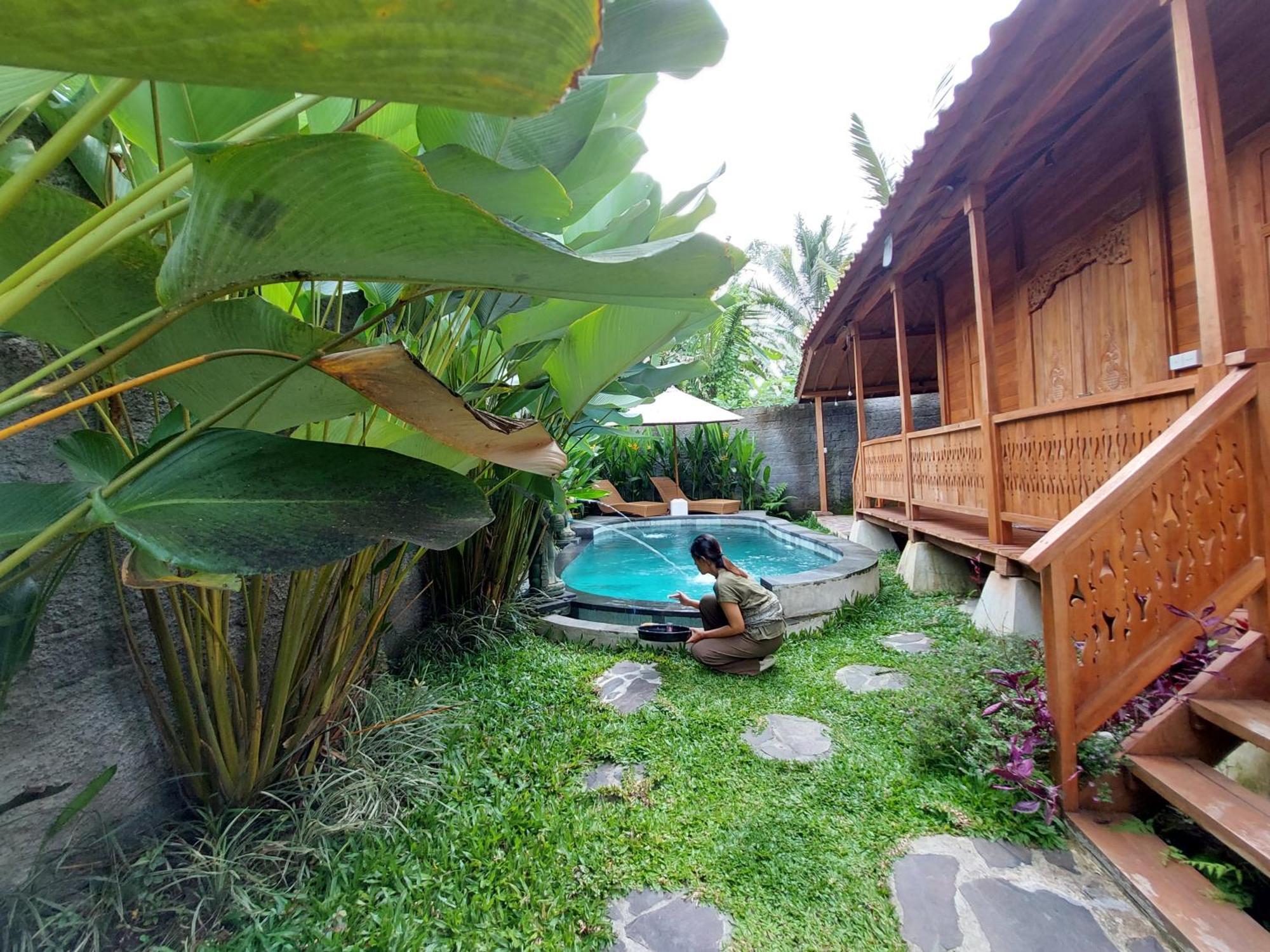 D'Ethnic Ubud Villa Dış mekan fotoğraf